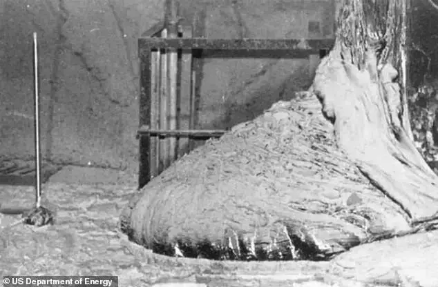 Elephant's Foot: The Most Dangerous Thing in the World, 5 Minutes of Observation Can Be Deadly, No One Can Approach It