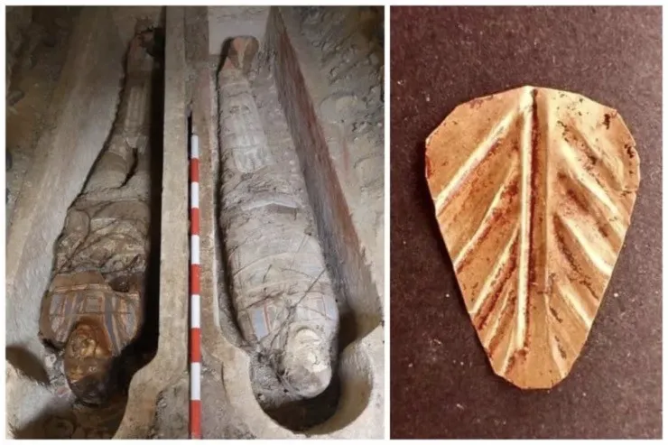 Dark Secrets of Ancient Egypt: 70 Million Mummified Animals Discovered