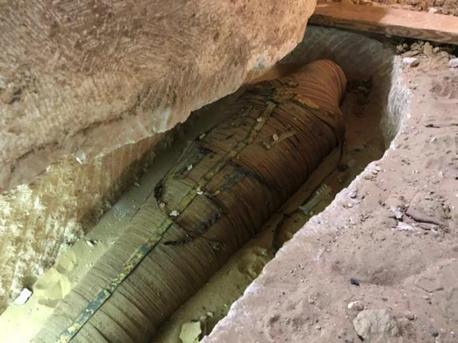 Dark Secrets of Ancient Egypt: 70 Million Mummified Animals Discovered