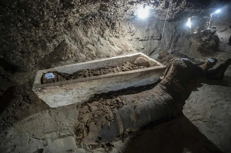 Dark Secrets of Ancient Egypt: 70 Million Mummified Animals Discovered
