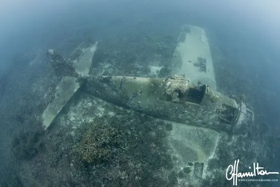 Delving into the Past: Divers Uncover 2,000-Year-Old Mystery – Wreckage of Corsair Plane Found on Oahu, Hawaii