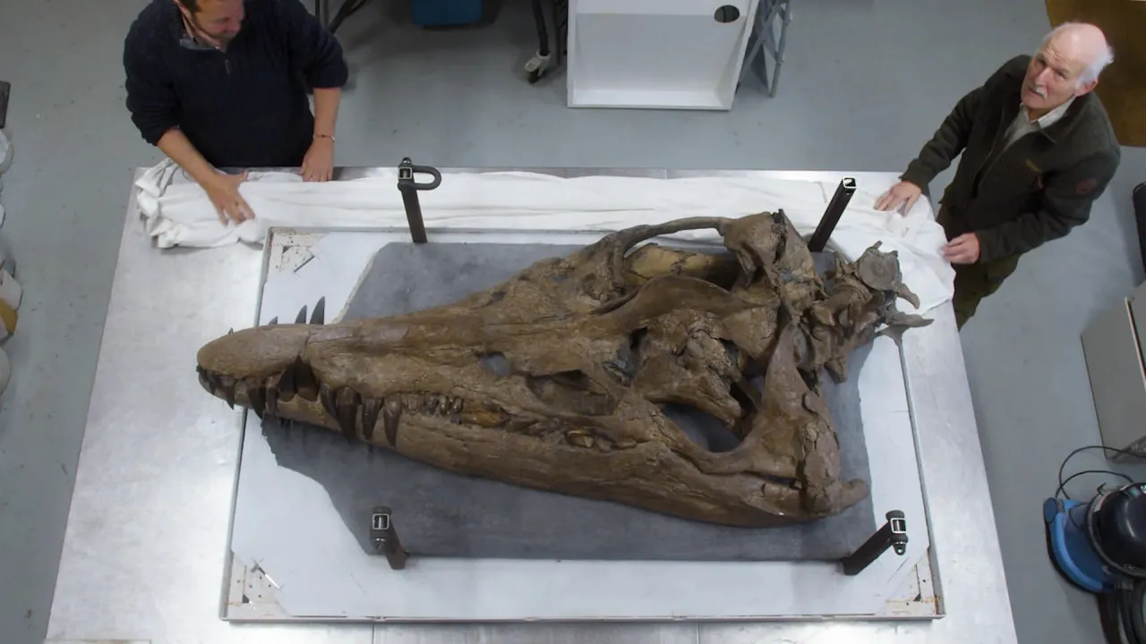 BREAKING NEWS: 150 million-year-old 'sea monster' skull discovered on UK cliff