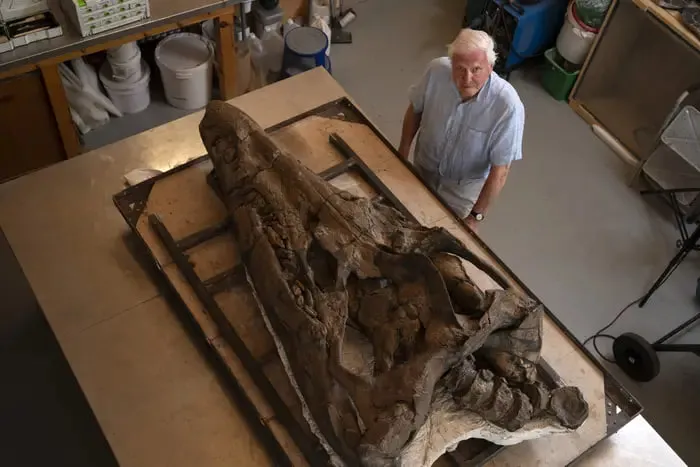 BREAKING NEWS: 150 million-year-old 'sea monster' skull discovered on UK cliff