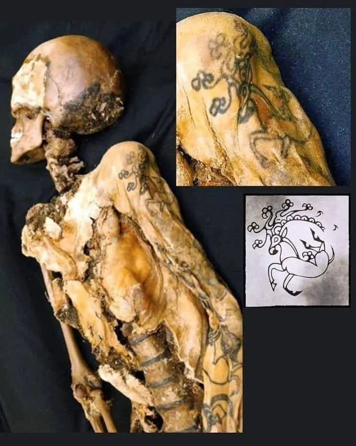 Revealing the Mysteries: Discovering a Giant Skull in a Lucky Find