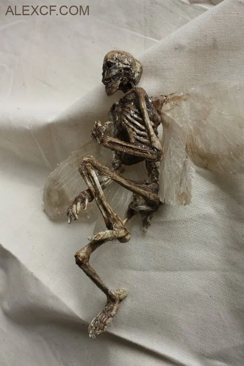 The Bronze Age “Bird Man” had a headdress made of dozens of bird beaks and skulls.