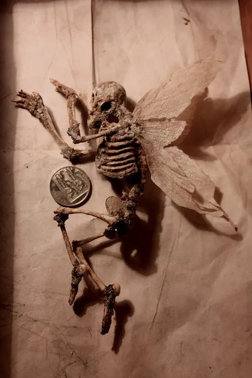 The Bronze Age “Bird Man” had a headdress made of dozens of bird beaks and skulls.