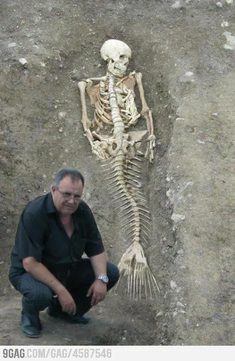 Spectacular discovery: 200-year-old ‘mermaid’ emerges off the coast of England, leaving witnesses in awe
