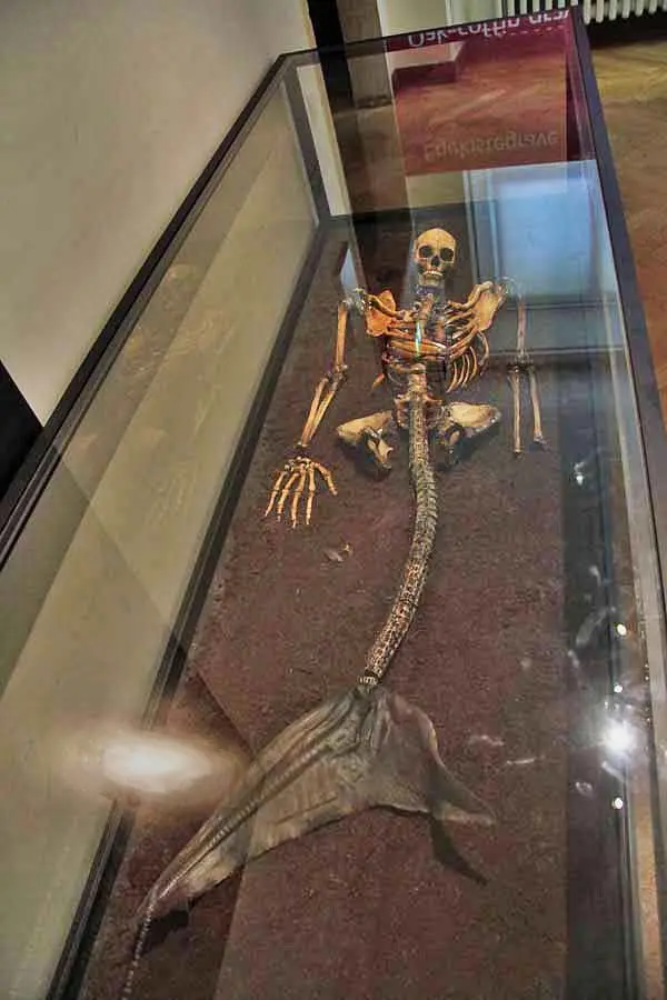 Spectacular discovery: 200-year-old ‘mermaid’ emerges off the coast of England, leaving witnesses in awe