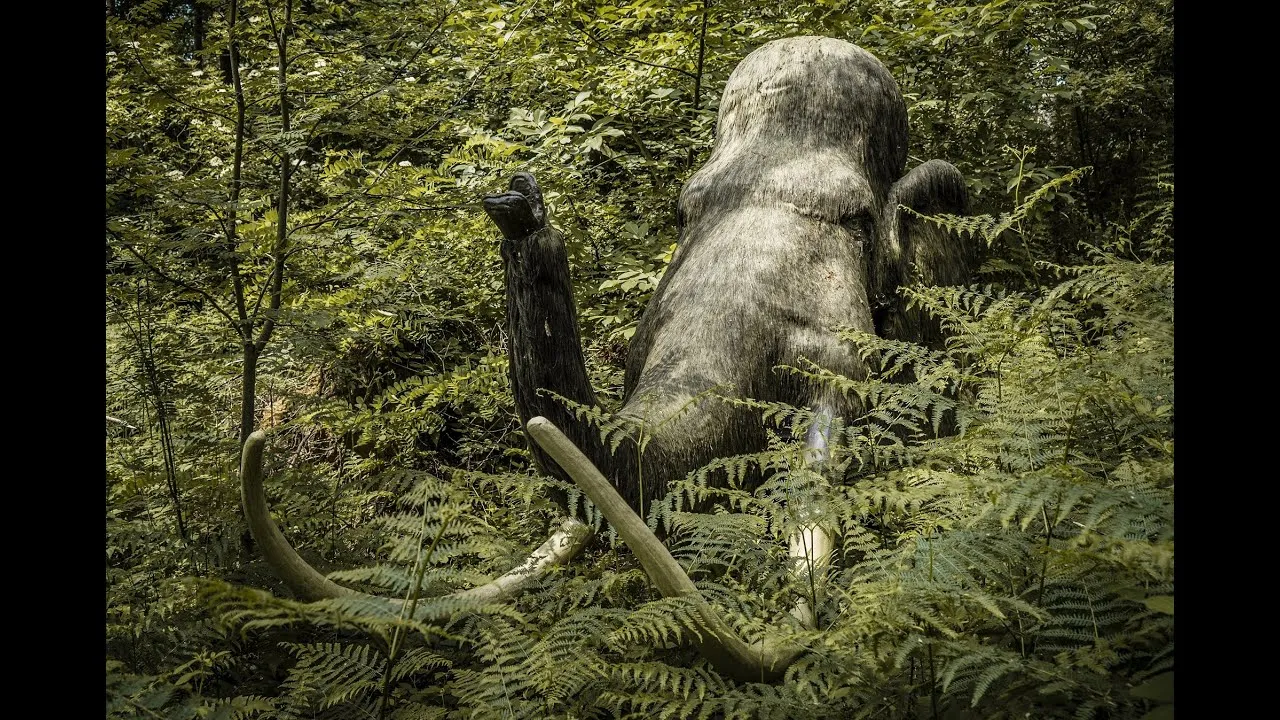 Archaeologists amazed: Fossils of more than 60 mammoths discovered in fossil quarry in South Dakota
