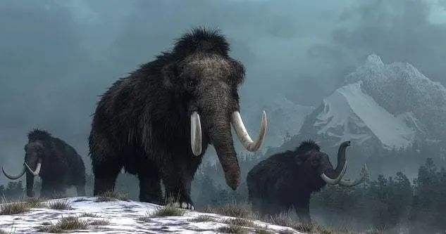 Archaeologists amazed: Fossils of more than 60 mammoths discovered in fossil quarry in South Dakota