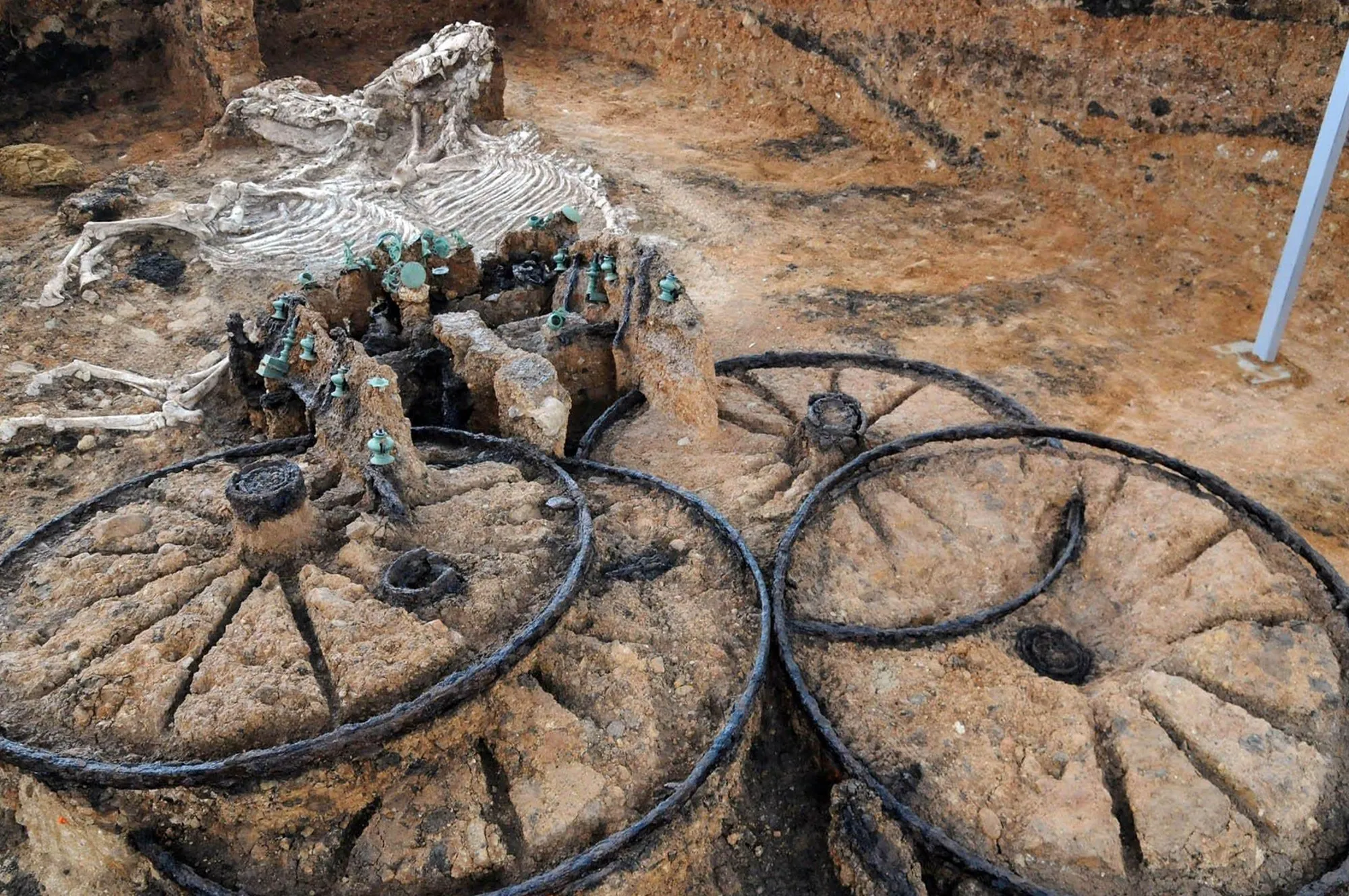 The Fascinating Story of the 2,000-Year-Old Thracian Chariot You Saw on Reddit