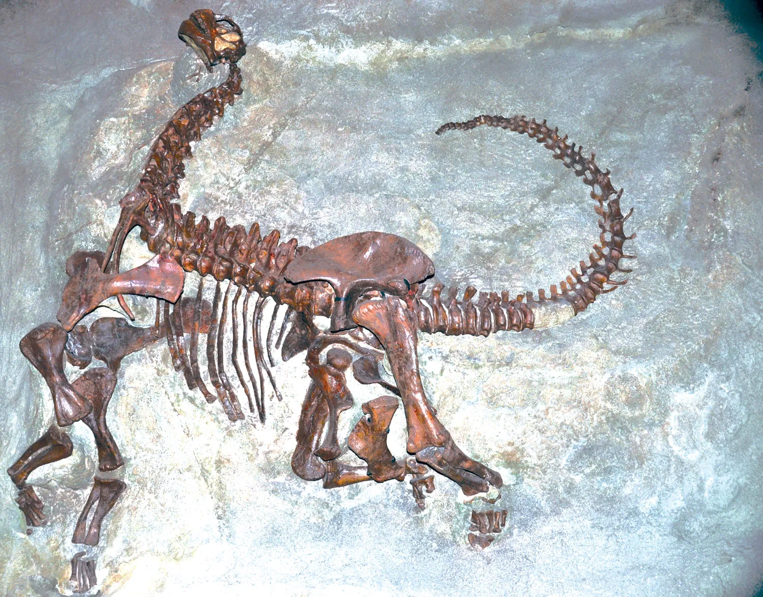 Well, they've found a bunch of dinosaur bones in Egypt! This pretty much solves the problem of how they moved such heavy stones. Clearly, they domesticated dinosaurs and used them as beasts of burden.
