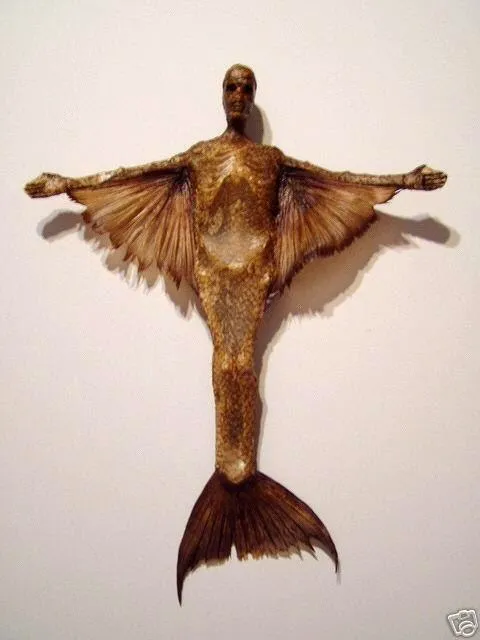Mytho or Reality: Are Mermaids or Sirens the True Rulers of the Sea?