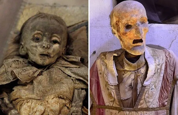 The mummified child discovered in an aristocratic family crypt died from lack of exposure to sunlight.