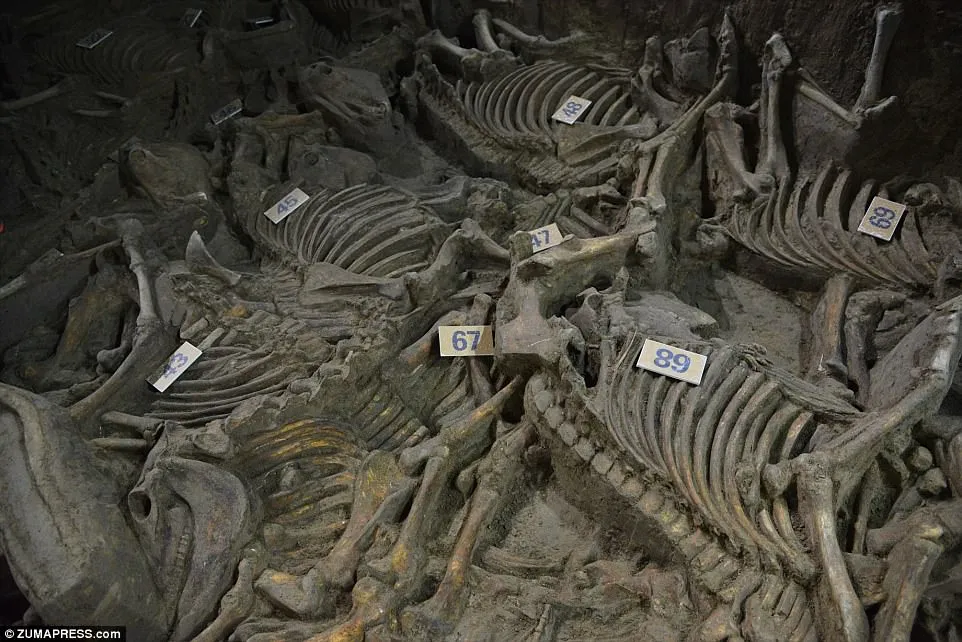 Unraveling the mysteries of ancient Chinese funeral traditions: 2,400-year-old funeral procession tomb discovered