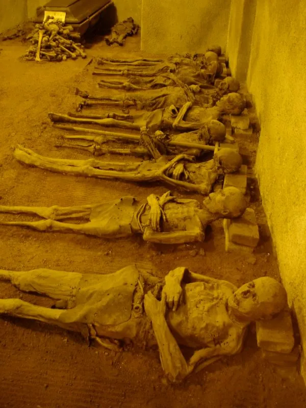 Unearthed treasure: Monk discovered preserved in 17th century crypt in astonishing find